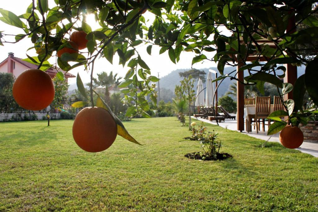 Gocek Arion Hotel Zewnętrze zdjęcie